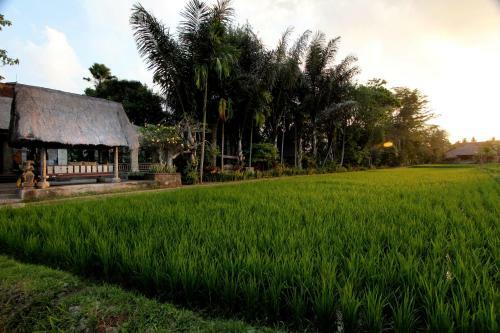 Hotel Arma Museum & Resort