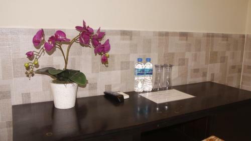 Hostal Jonsen Homestay