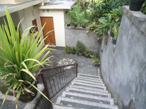 Sintya Homestay