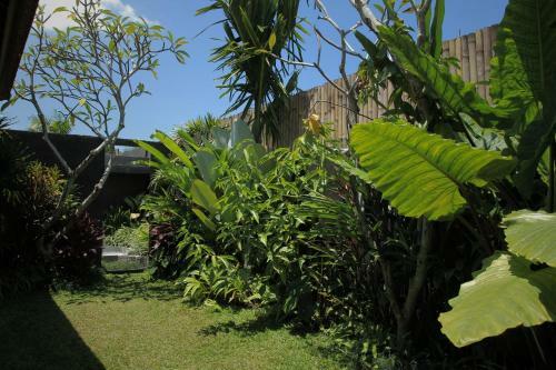 Villa Dugul Ubud
