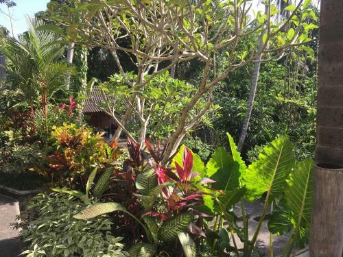The Bali Shanti