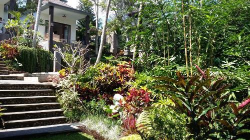 The Bali Shanti
