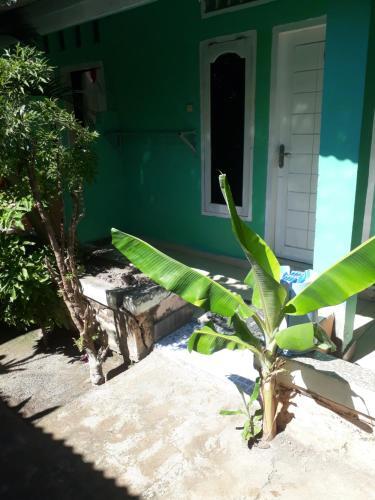 Andi Homestay