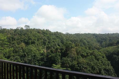 Hotel Rijasa Agung Resort And Villas