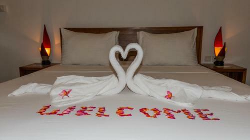 Dream Divers Resort