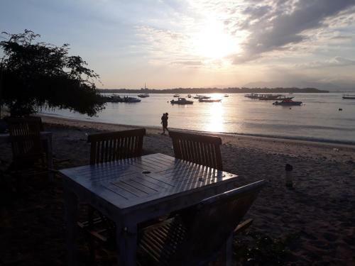 Dream Divers Resort