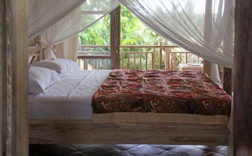 Hostal Papaya Guesthouse