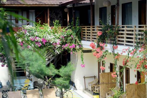 Hostal Panda Hostel