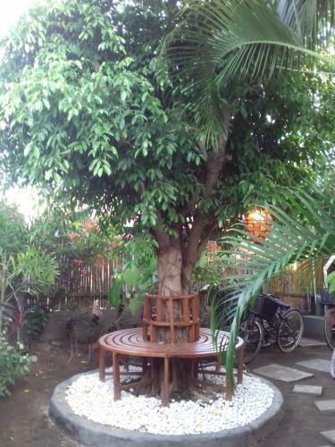 Hostal Little Elephant Cottage