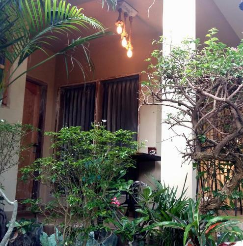 Hostal Little Elephant Cottage