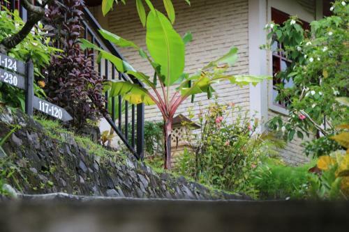 Hotel Puri Bunga Beach Cottages
