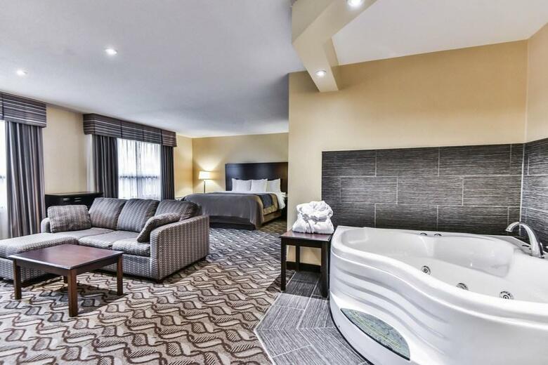 Hotel Comfort Inn & Suites Ambassador Bridge