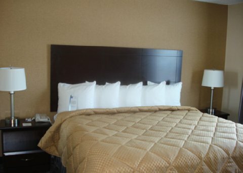 Hotel Comfort Inn & Suites Ambassador Bridge