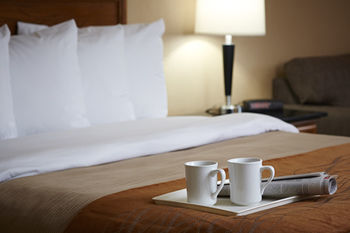 Hotel Comfort Inn Winnipeg Airport
