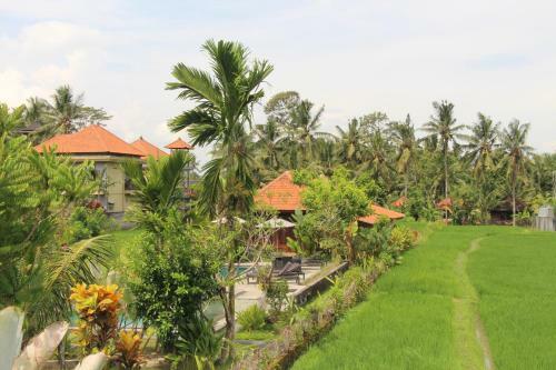 Hostal Nur Guest House