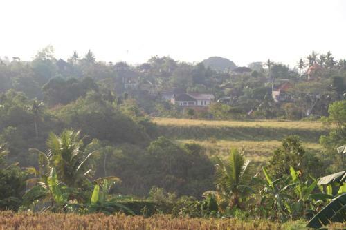 Hostal Nur Guest House