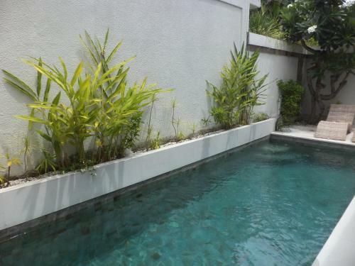 Villa Kamar Madu