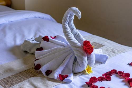 Hostal Kacu Guest House