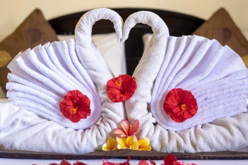 Hostal Kacu Guest House