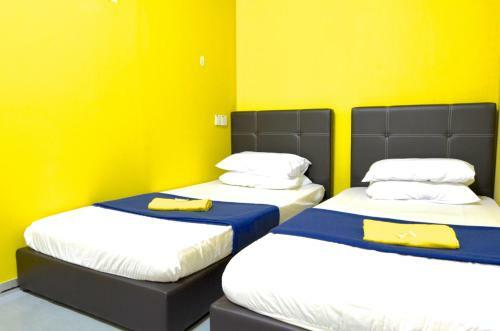 Albergue Milky Coat & Sunny Side