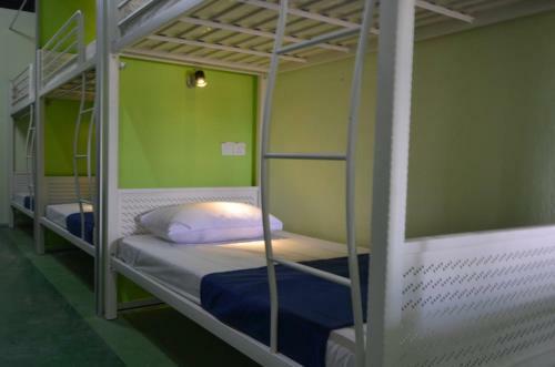 Albergue Milky Coat & Sunny Side