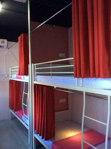 Albergue Milky Coat & Sunny Side