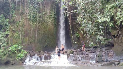 Hostal Baliwid Villa Ubud