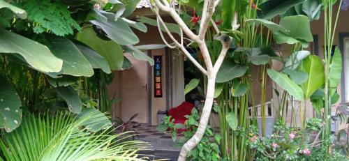 Hostal Baliwid Villa Ubud