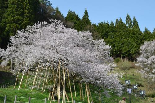 Hotel Garyu-no-sato