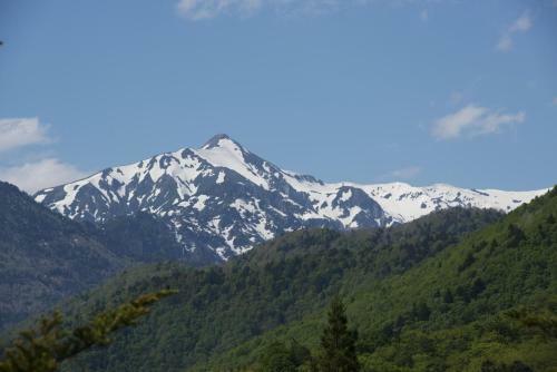 Nakamurakan