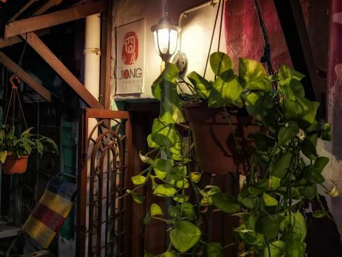 Albergue The Jiong House