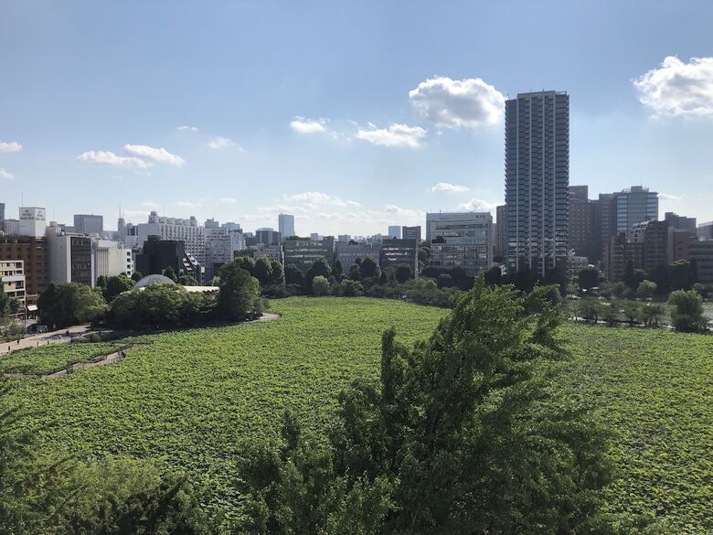 Kinuya Hotel