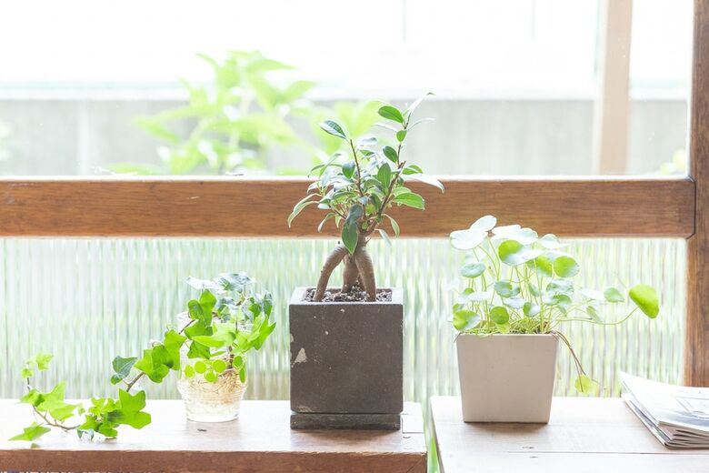 Albergue Tokyo Hikari Guesthouse