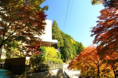 Hidasanso
