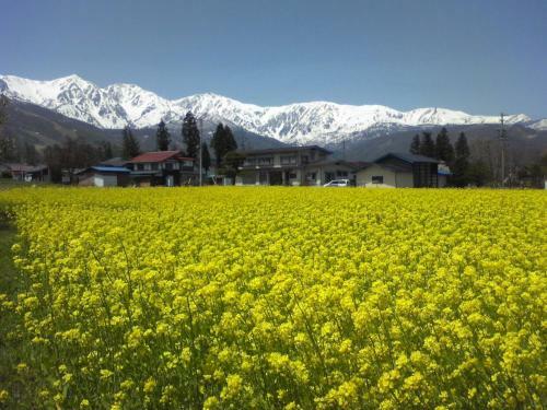 Green Valley Hakuba