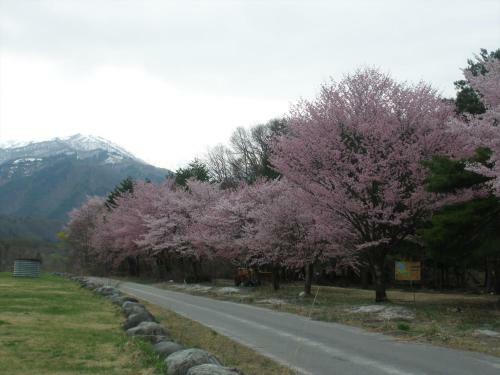 Green Valley Hakuba