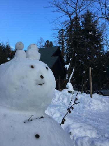 Lodge Hakuba Cottage Gram