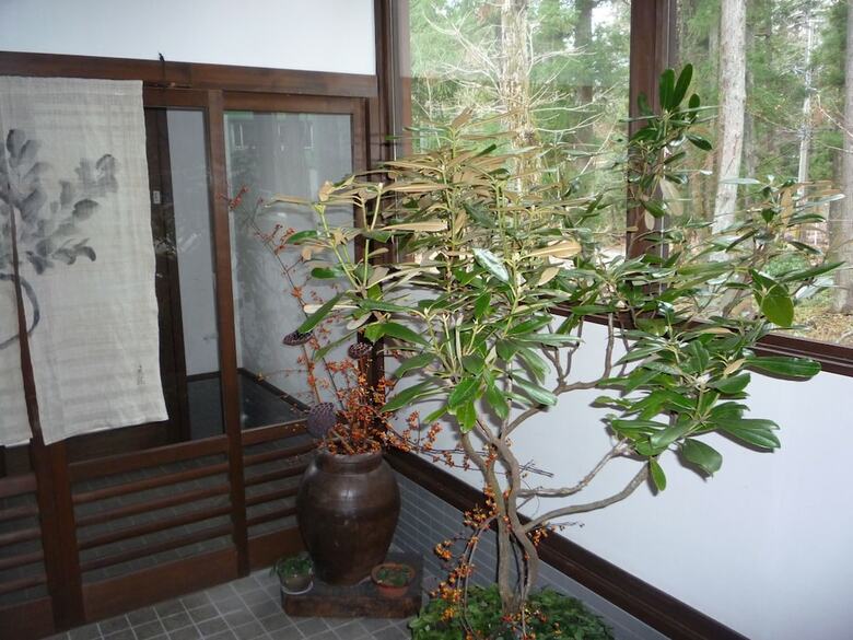 Sekkasai Lodge