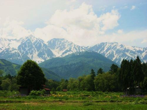 Bed & Breakfast Pension Blue