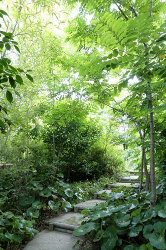 Hotel Ujo Soan (adult Only)