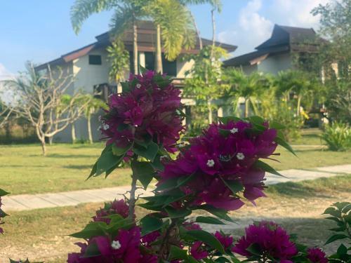 Hotel The Hip Resort @ Khao Lak