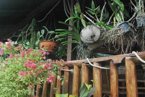 Posada Similan Hotel