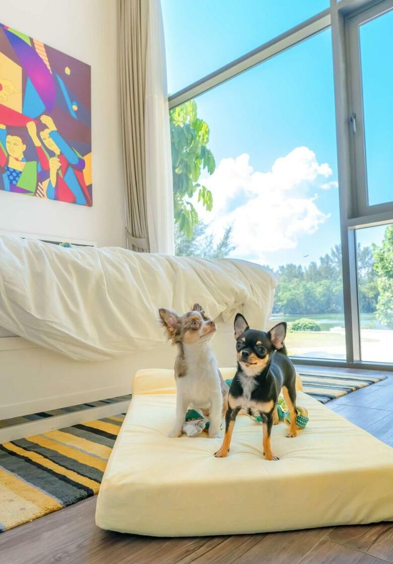 Hotel Cassia Phuket