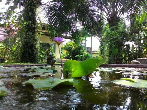 Aathid Garden Khao Lak
