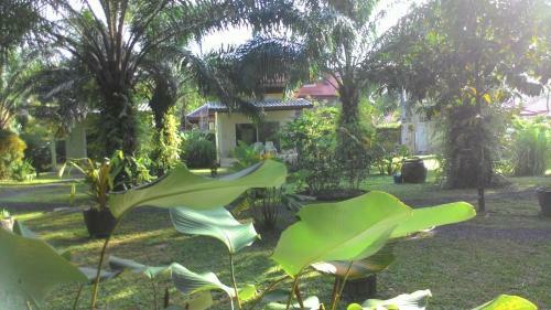 Aathid Garden Khao Lak