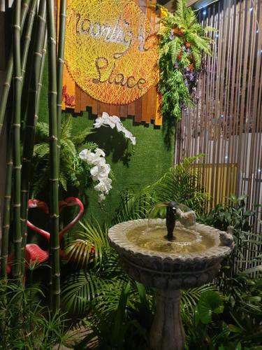 Posada The Moonlight Place