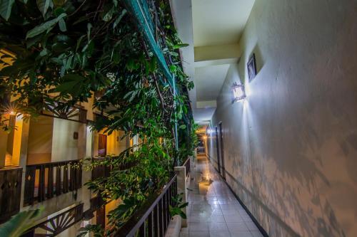 Posada Sutus Court 5