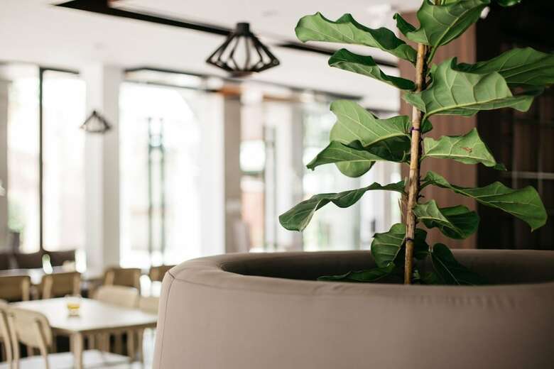 Hotel Diamond Park Inn Chiangrai & Resort