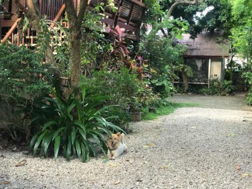 Hostal Baan Songjum