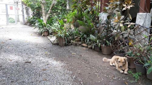 Hostal Baan Songjum